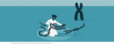 [과학하는 여자들의 글로벌이야기] 29. 무명의 여성과학자