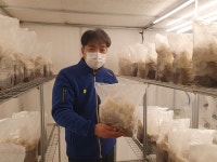 지하에 자라는 꽃, '꽃송이버섯 스마트팜' 협동조합이 만든다