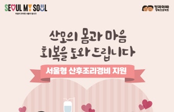 서울시, 9월1일부터 모든 산모에 '산후조리경비' 지원한다