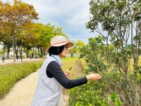 울산큰애기 배려가 있는 향기정원 추천해요