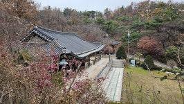 국궁의 아픈 역사를 간직한 황학정과 국궁전시관
