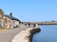 [이로운 여행] 제주 유채꽃 핫플 성산일출봉 100배 즐기는 법