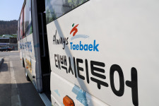 천상의 화원 금대봉 야생화 시티투어에서 태백의 여름을 즐기세요!