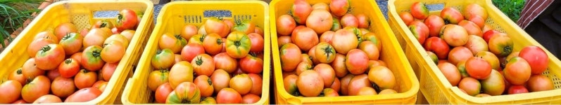 [소셜 기획] 울산 간절곶에서 빚은 자연의 정직함