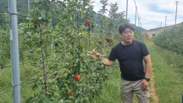 [이로운 인터뷰] 강태웅 일광농원 대표 노지 스마트팜으로 사과산업 미래 혁신 이끌 것