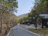정선군, 청정 자연 속 힐링 공간 도사곡 휴양림 최신 시설로 새단장 완료