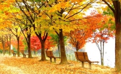 청남대 가을축제, 역대 최다 관람객 기록 경신