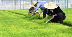 [이로운체크]사람이 온다...농어촌기본소득 신청 시작, 지방소멸 막을 수 있을까