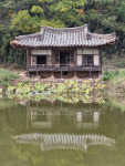 영덕 경렴정, 경북 문화유산 됐다...400년 전통 정자로 우뚝