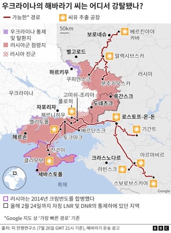우크라 전쟁: 러시아는 어떻게 우크라이나 해바라기 씨를 훔쳤나