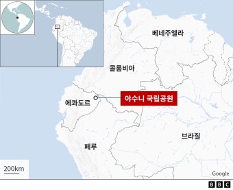 에콰도르 국민투표: 아마존 보존에 20일 투표가 중요한 이유