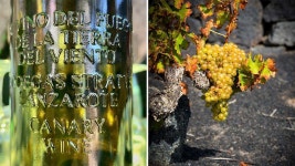 검은 화산재 구멍에서 탄생한 기발한 와인