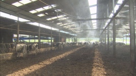 농촌진흥청, 축사 전기시설 미리 점검해 화재 막아야