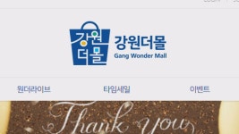강원도 운영 쇼핑몰 경쟁력 지적.. "쇼핑몰 통합 검토"