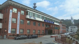 양구군, 박수근 광장 희망의 트리 점등