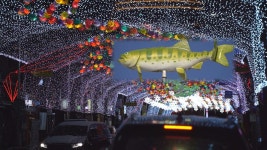 <이동보도국>3년 만에 돌아왔다! 화천산천어축제 개막