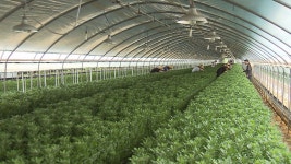 철원군, 후계농업인 지원사업 27일까지 접수