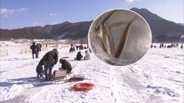 제23회 인제 빙어축제 오늘 개막