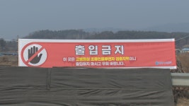 춘천 신동 한계천 야생조류 폐사체 고병원성 AI 검출