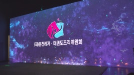 레저태권도조직위 부결..춘천시 시정 발목 잡기