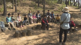춘천시, 시민 대상 숲 체험 교육