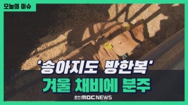 [리포트] 송아지도 방한복.. 겨울 채비에 분주