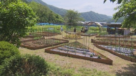 홍천군, 농촌 유학마을 입주자 7가구 모집