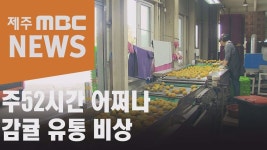 주52시간 적용 APC 감귤 유통 비상