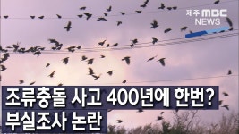 (리포트)400년에 한 번? ... 부실조사 논란