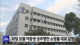 피팅 모델 여중생 성추행한 쇼핑몰 대표 실형