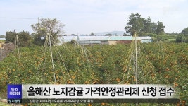 올해산 노지감귤 가격안정관리제 신청 접수