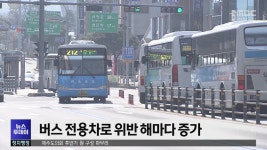 버스 전용차로 위반 해마다 증가
