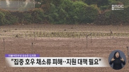 집중 호우 채소류 피해...지원 대책 필요