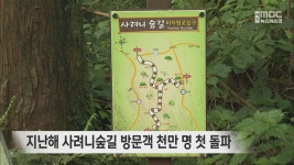 지난해 사려니숲길 방문객 천만 명 첫 돌파