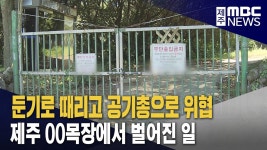 둔기로 때리고 공기총으로 위협‥5억 못 받아