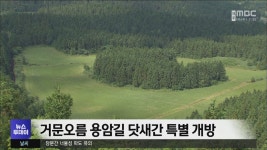 거문오름 용암길 닷새간 특별 개방
