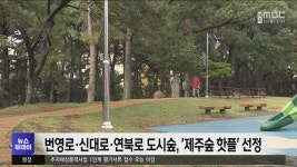 번영로·신대로·연북로 도시숲, 제주숲 핫플 선정