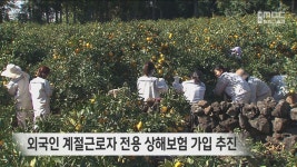 한강근로자대기소&김종행정사사무소 | 외국인 계절근로자 전용 상해보험 가입 추진