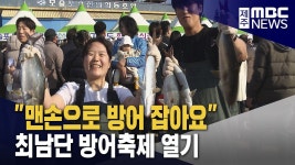 맨손으로 방어 잡아요‥최남단 방어축제