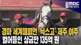 경마 세계챔피언 제주 이주, 마산업 활기