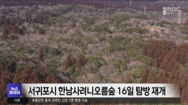 서귀포시 한남사려니오름숲 16일 탐방 재개