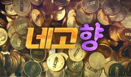 달라스튜디오, 네고왕 스핀오프  론칭