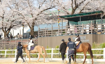 한국마사회, 오는 10월까지 지역축제와 연계 ‘도심승마체험’ 운영