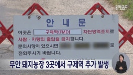 무안 돼지농장 3곳에서 구제역 추가 발생