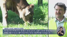 [에너지②] 작물·가축 무럭무럭‥독일 영농형 태양광