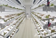 [CES 2020] 엔씽, 모듈형 수직농장 플랜티 큐브