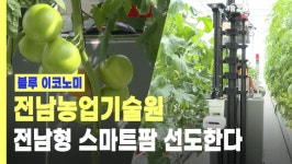[리포트] 과일·채소 스마트팜으로 키운다…전남농업기술원, 전남형 스마트팜 선도