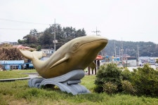 [전라도 역사이야기] 그 많던 흑산바다 고래들은 다 어디로 갔을까?