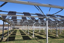 [태양광, 지구 살리는 기술] ⑦정재학 영남대학교 화학공학부 교수 영농형 태양광 기반 노지 스마트팜 보급하고파