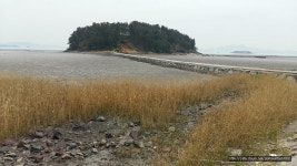 [전라도 역사이야기] 전라도로 유배 온 코끼리